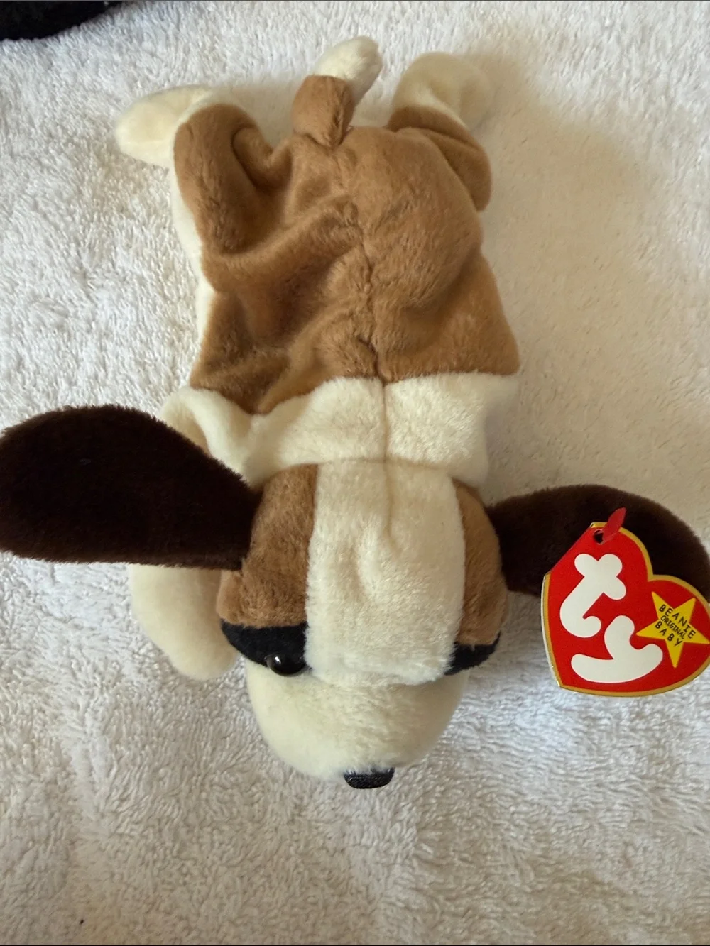 6 Vintage Ty Dog Beanie Babies w Tags MWMT